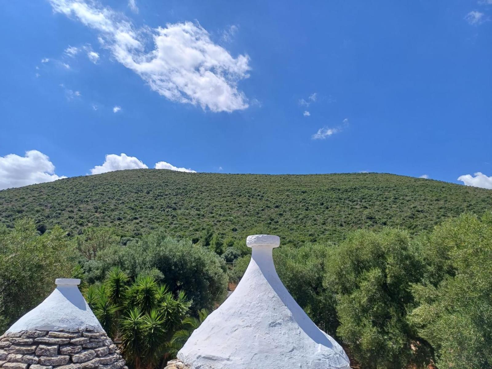 Hill Trull - Typical Apulian House Villa Monopoli Luaran gambar