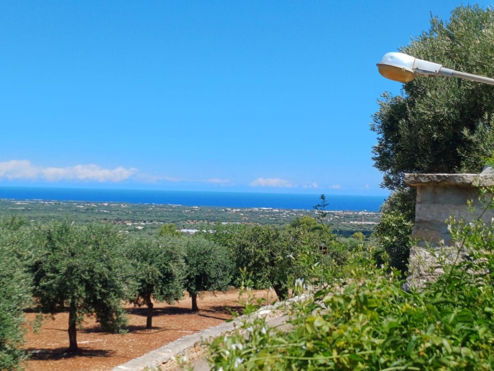 Hill Trull - Typical Apulian House Villa Monopoli Luaran gambar